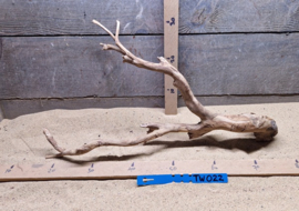 Talawa Wood TW022