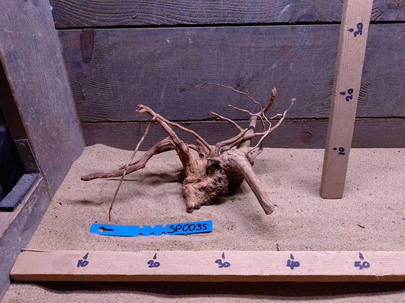 Spiderwood SP0035