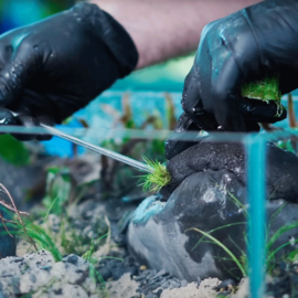 Wio Sticky Soil Ball
