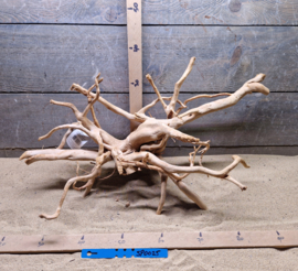 Spiderwood Selectie SP0025