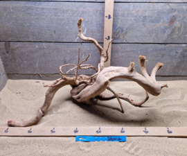 Spiderwood Selectie SP0030