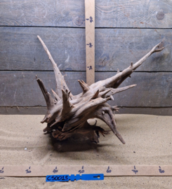 Corbo Root CS0015
