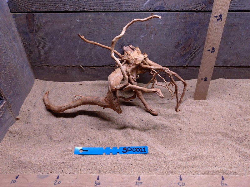 Spiderwood SP0011