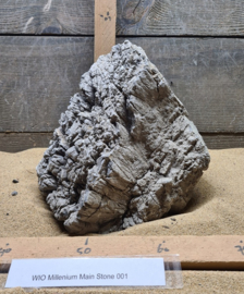Millenium Main Stone 001