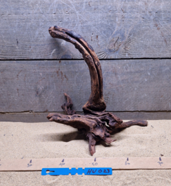 Hornwood HW023