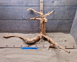 Spiderwood Selectie SP0012