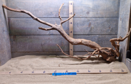 Spiderwood Selectie SP0040
