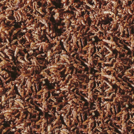 Sera FD Rode Muggenlarven Nature 250ml (20 gram)