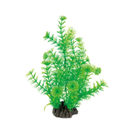 Superfish Art Plant 25cm Cabomba