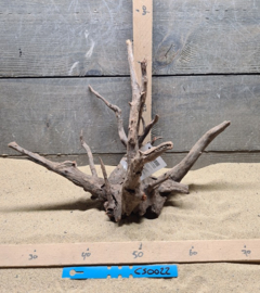 Corbo Root CS0022