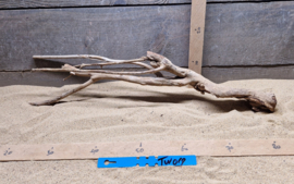 Talawa Wood TW019