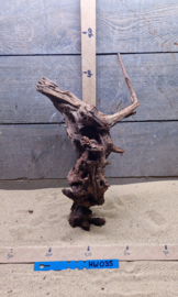 Hornwood HW035