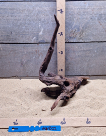 Hornwood HW022