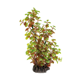 Superfish Art Plant 25cm Rotala