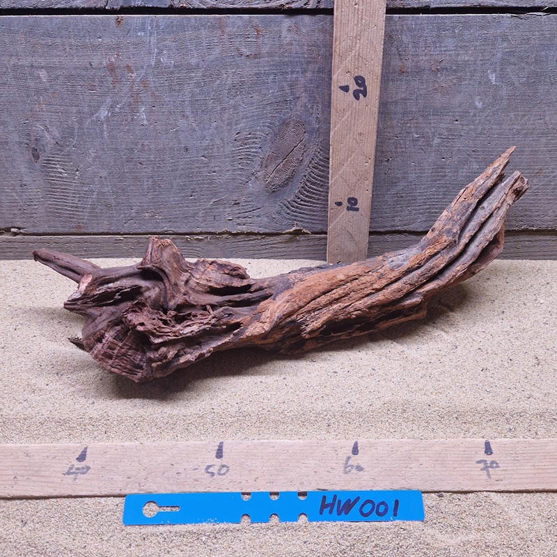 Hornwood