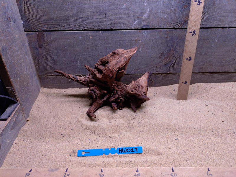 Hornwood HW017