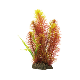 Superfish Art Plant 25cm Myriophyllum sp. Red