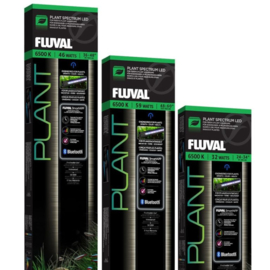 Fluval plant 3.0