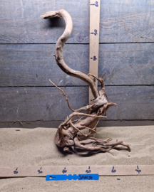 Spiderwood Selectie SP0031