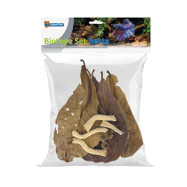 Superfish Biotope Set Betta