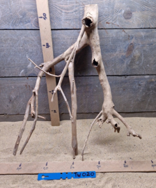 Talawa Wood TW020