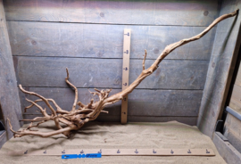 Spiderwood Selectie SP0039