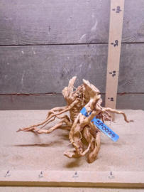 Spiderwood Selectie SP0029