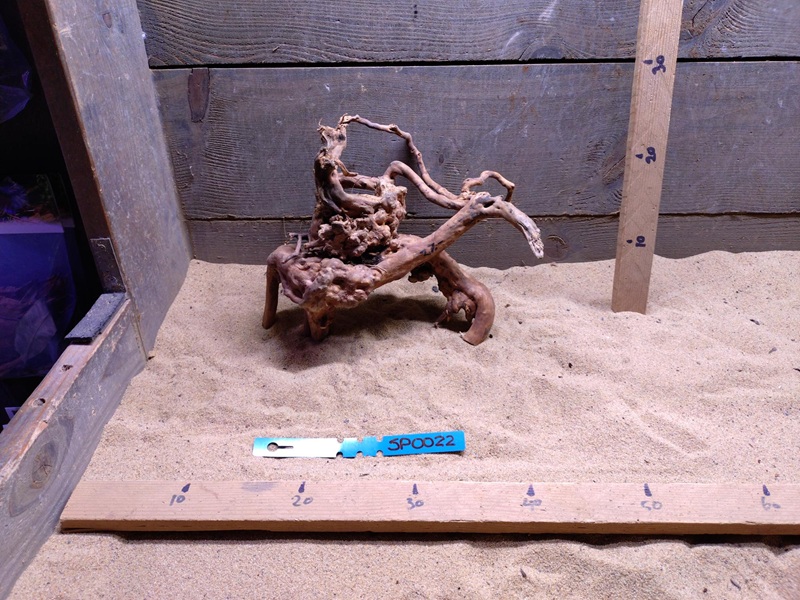 Spiderwood SP0022