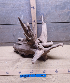Corbo Root CS0016