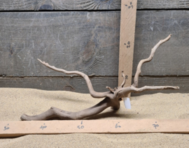 Dark Spiderwood DSW018