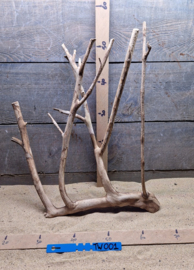 Talawa Wood