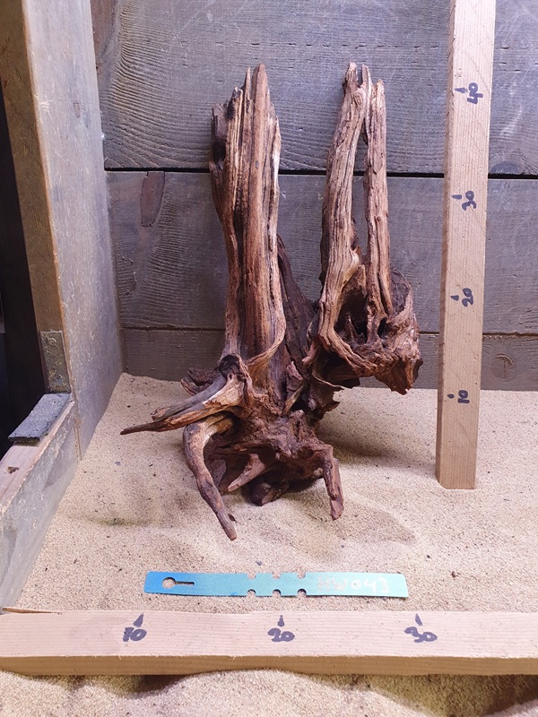 Hornwood HW043