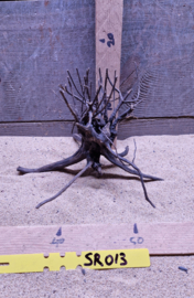 Scaper Root SR013
