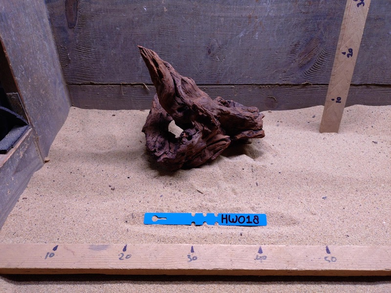 Hornwood HW018