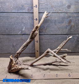 Talawa Wood TW008