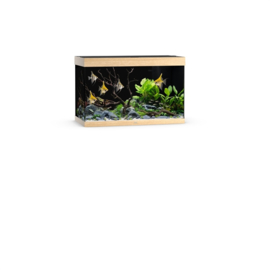 Juwel Rio 290 LED
