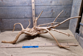 Spiderwood Selectie SP0016