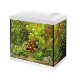 Superfish Start 50 Tropical Kit Wit