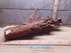 Driftwood SuperLarge  DW004