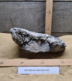 Millenium Main Stone 005