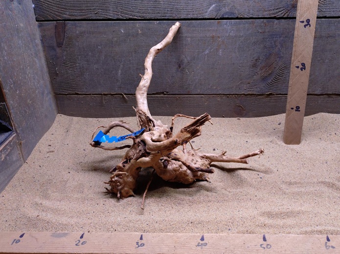 Spiderwood SP0001