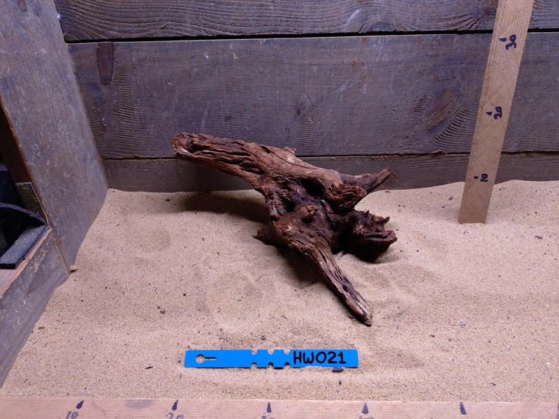 Hornwood HW021