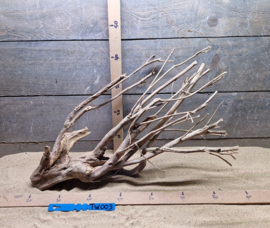 Talawa Wood TW003