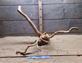 Spiderwood Selectie SP0024
