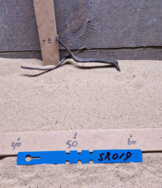 Scaper Root SR019