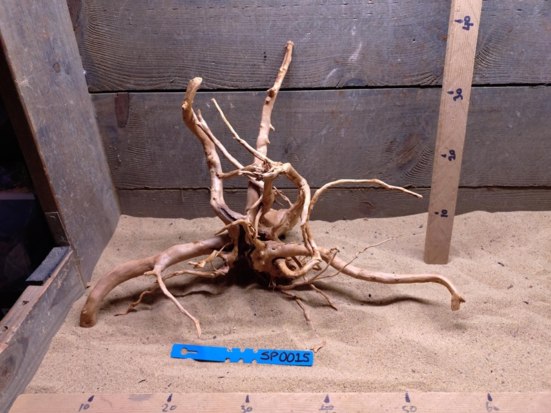 Spiderwood SP0015