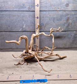 Spiderwood Selectie SP0021