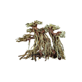 Bonsai Twin Tree Handmade