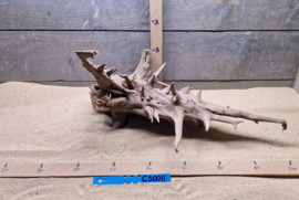 Corbo Root CS0011