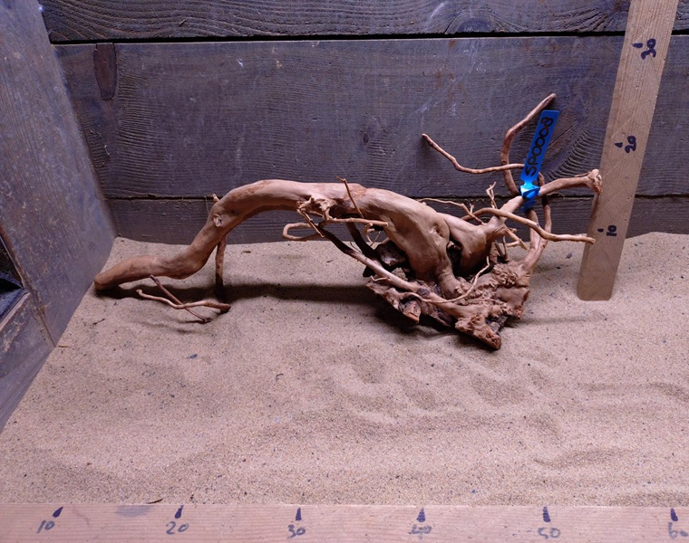 Spiderwood SP0008